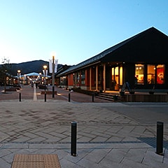 
日が落ちると、駅前商店街には一日の仕事を終えた女川人が一杯やりに集いはじめる。