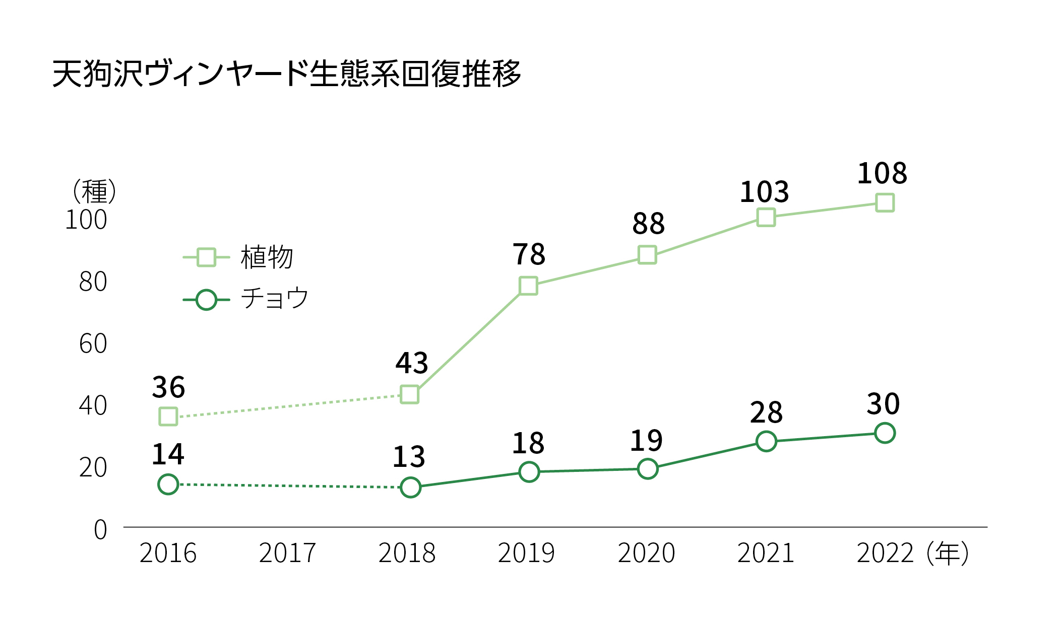 天狗沢ヴィンヤード生態系回復推移。2016年 植物36種　チョウ14種。2018年 植物43種　チョウ13種。2019年植物78種　チョウ18種。2020年植物88種　チョウ19種。2021年植物103種　チョウ28種。2022年植物108種　チョウ30種。
