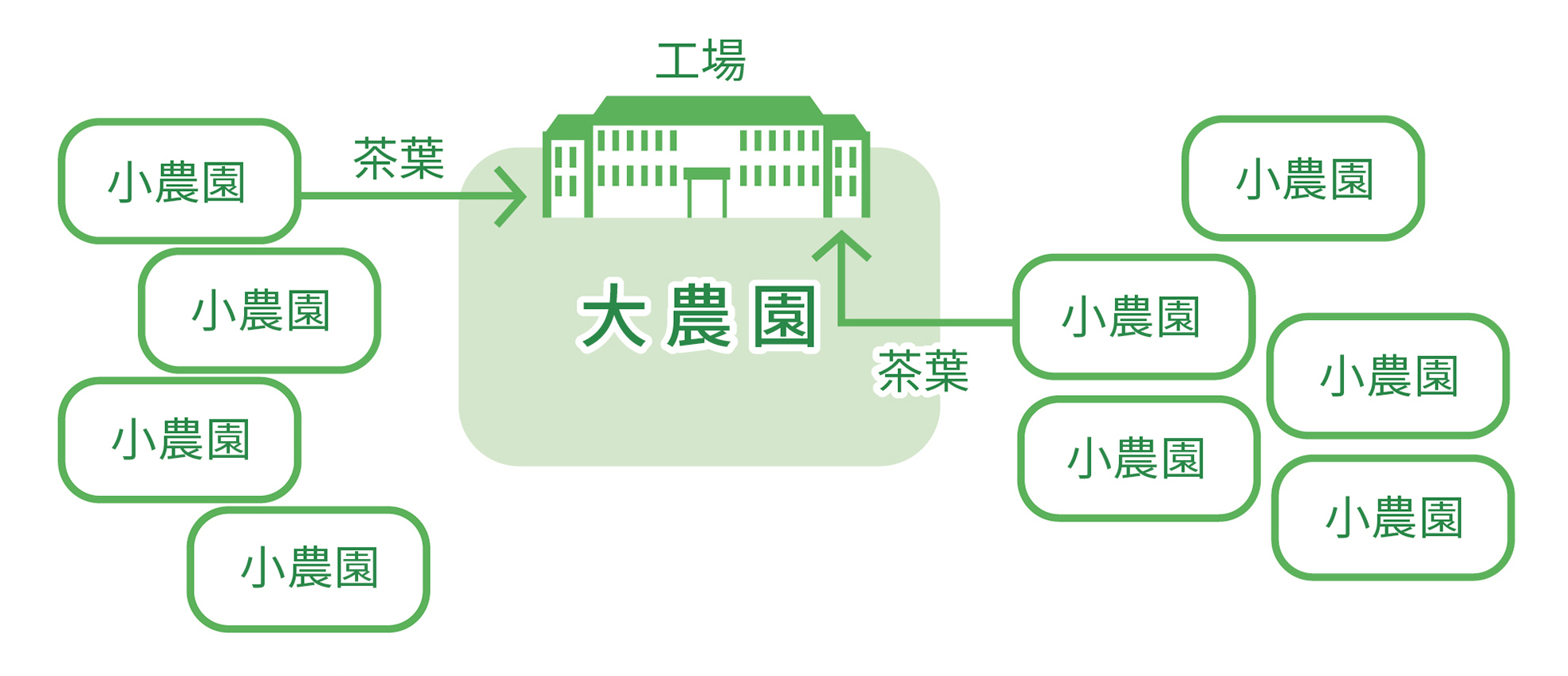 大農園と小農園の関係図です。小農園で生産された紅茶葉は、近くの大農園に売却され、大農園の工場で加工され出荷されます