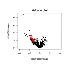 pDC活性の高低と関連のあるノンコーディングRNA（赤いプロット）